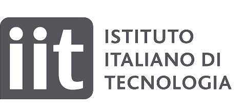 IIT logo